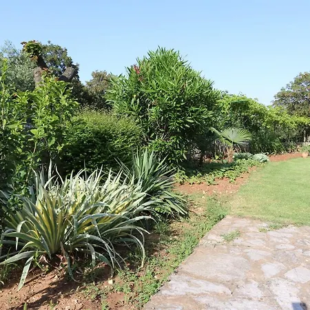 아파트 Drpic I 실로